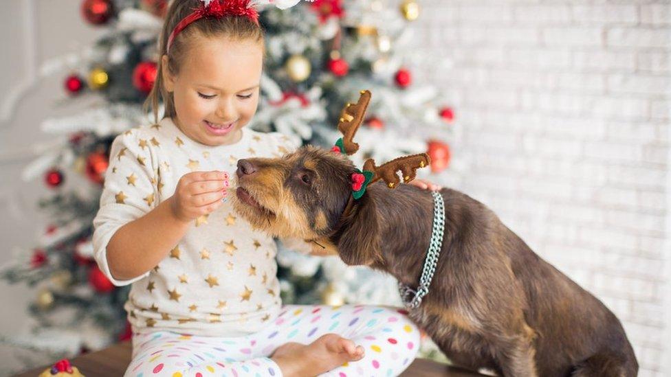 girl-feeding-dog.