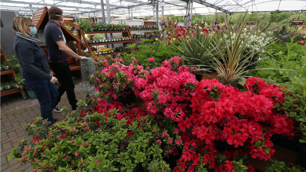 shopping at garden centre