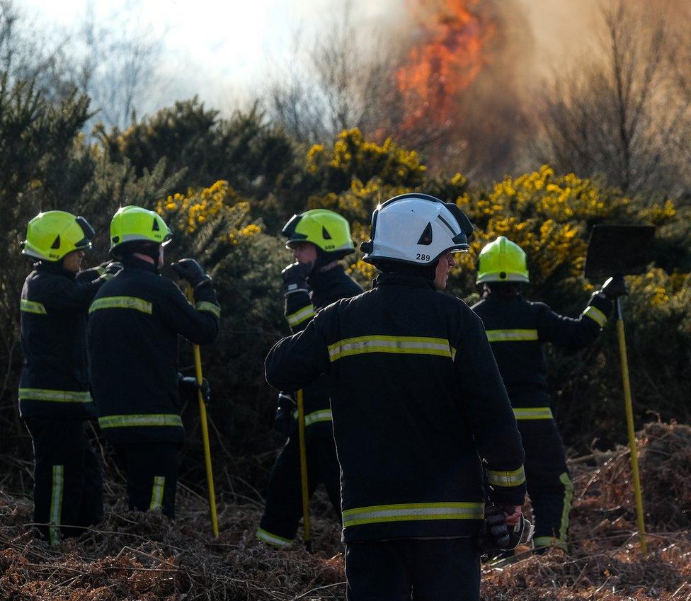 Firefighters assess the blaze