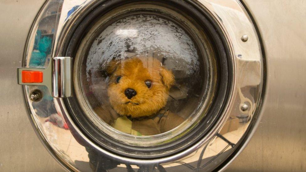 A teddy in a washing machine