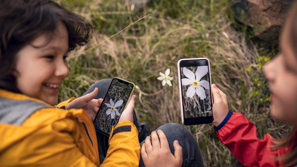 children taking photos on their phones