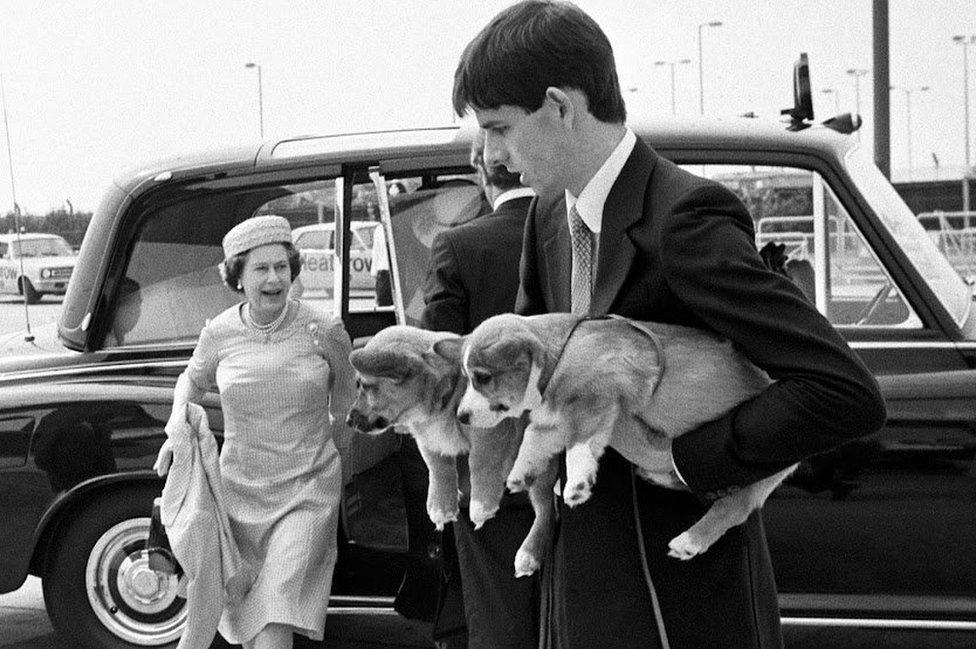 The Queen leaves a car as a man walks alongside carrying three Corgis