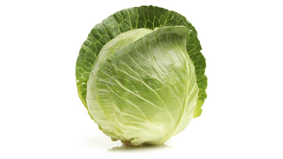 Cabbage