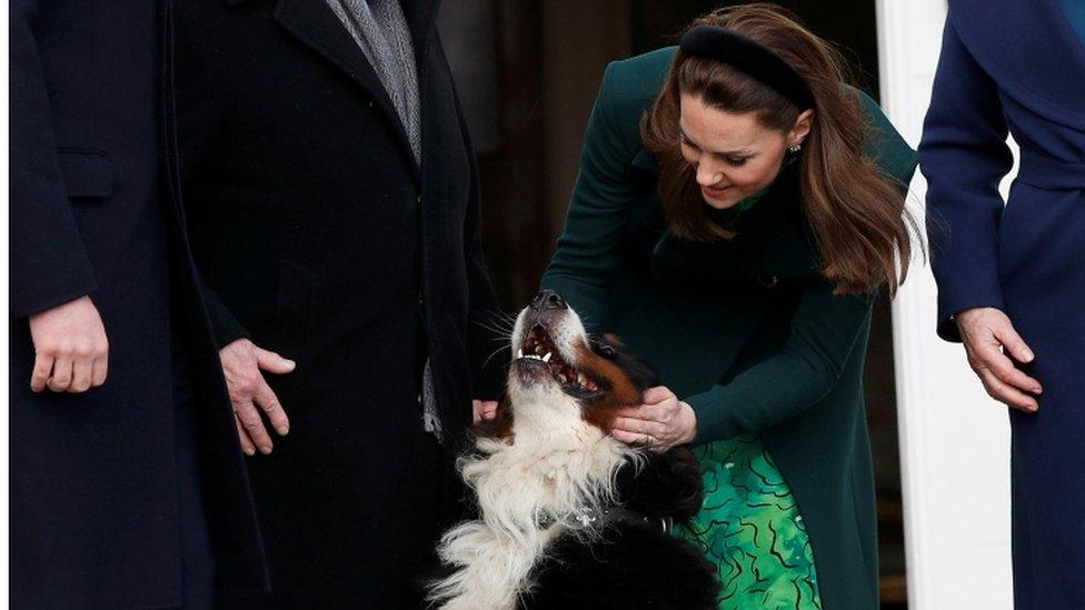 Duke and Duchess of Cambridge