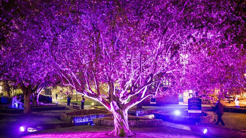 Library Gardens