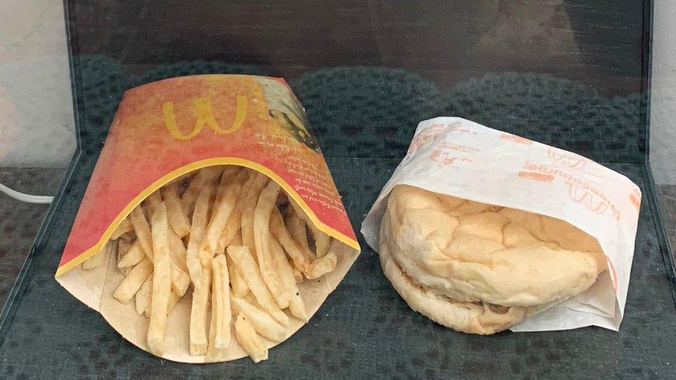 Hjortur Smarason bought this McDonald's meal in 2009 to see how long it would take to decompose