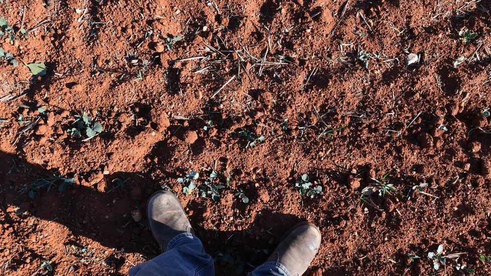 Man stands on dry land in Australia