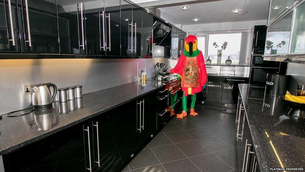 The parrot chirps up about his great cooking