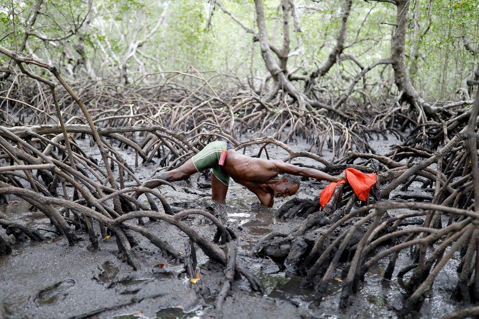 Fisherman Jose da Cruz reaching into mud to catch crabs