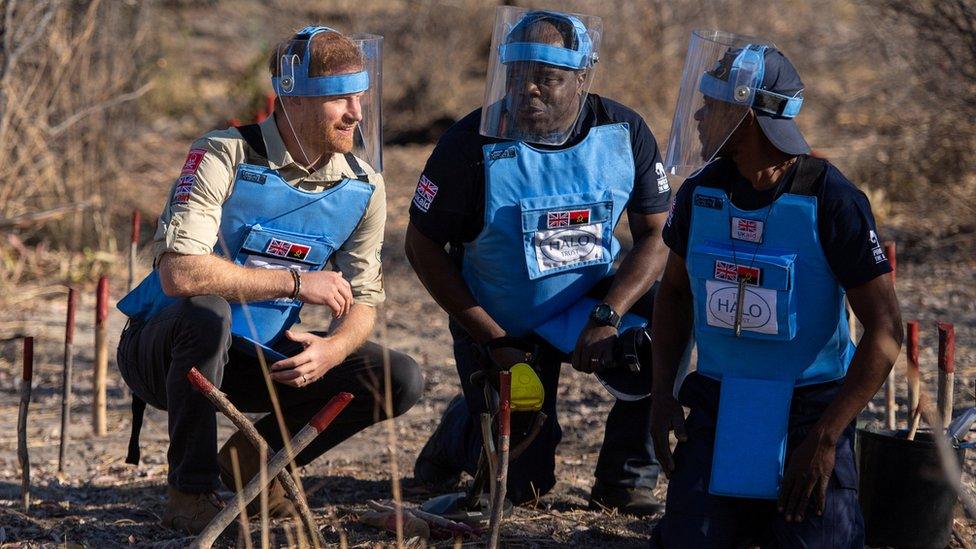 Prince Harry crouches alongside Halo staff