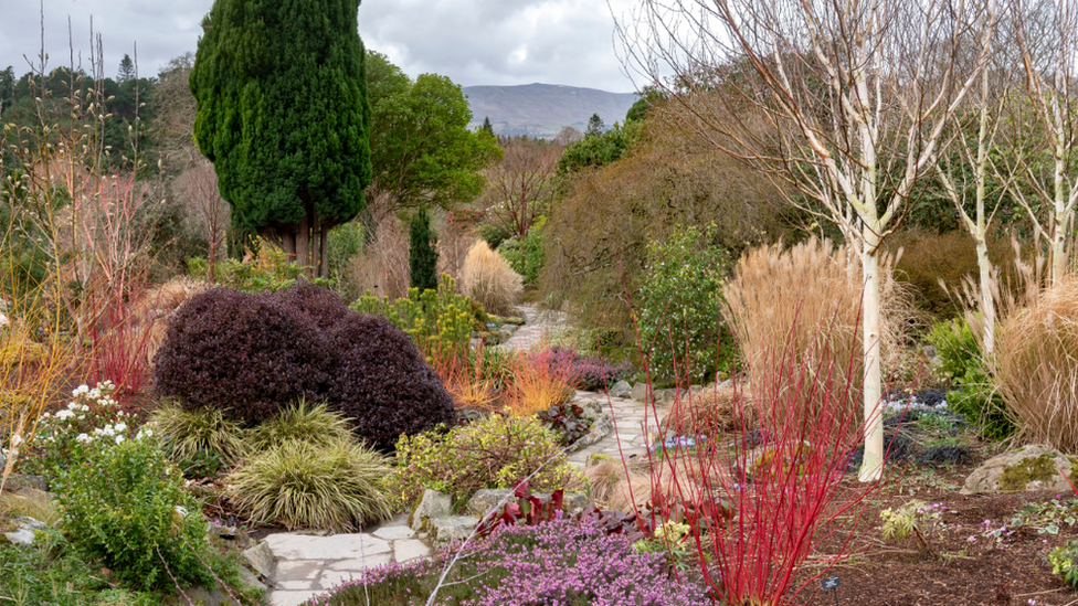 Bodnant Garden