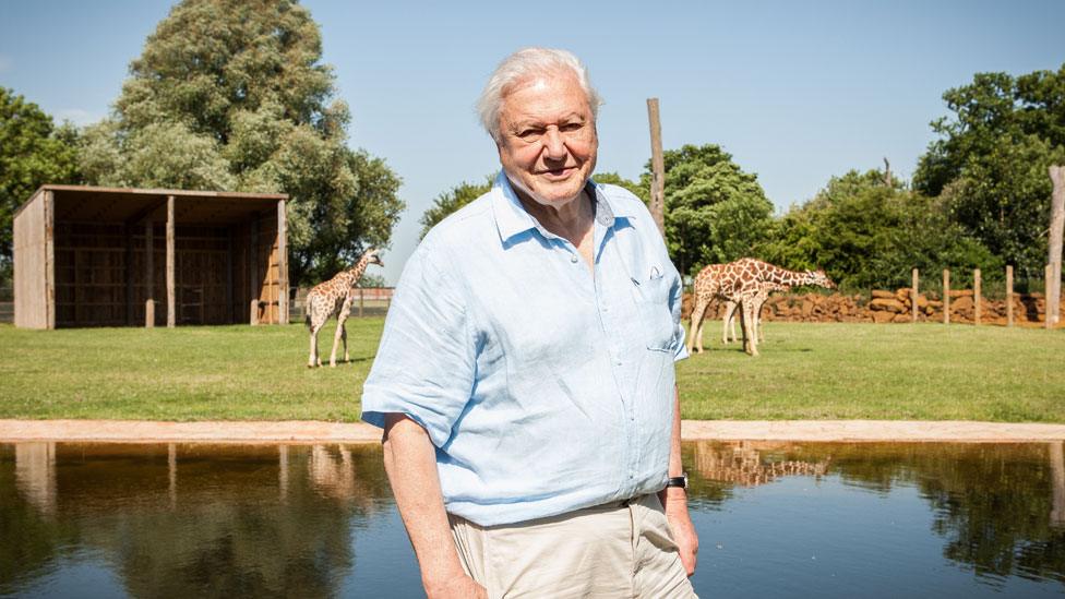 David Attenborough