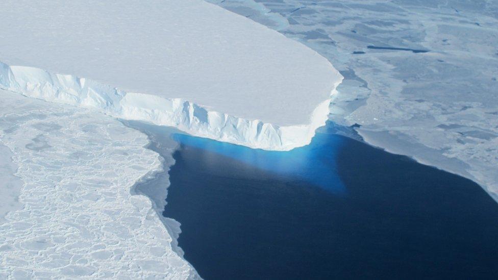 Thwaites Ice Shelf
