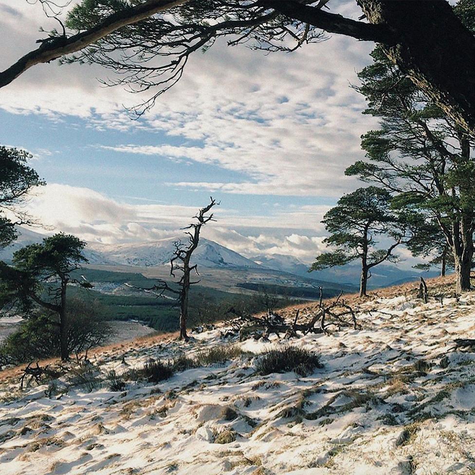 A wintery landscape