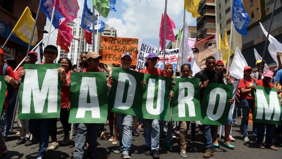 Government supporters march through the streets of Caracas (26 April 2017)