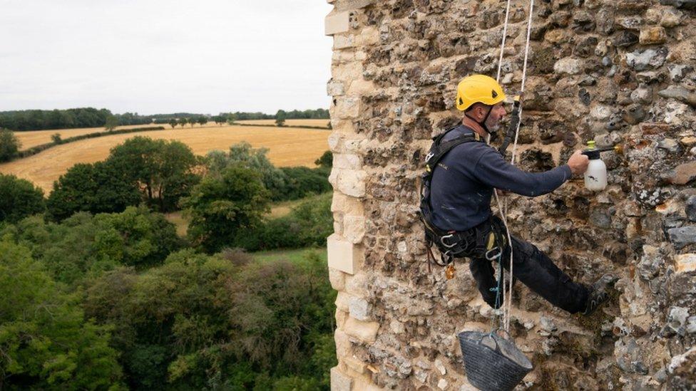 Joe Picalli carries out high-level repairs on Framlingham Castle