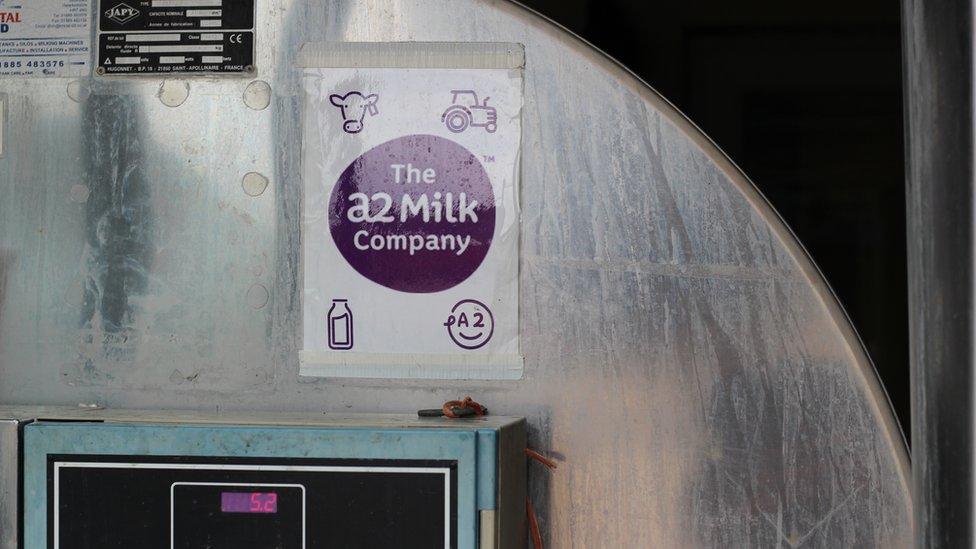 milk tank