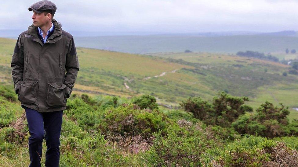 Prince William at Wistman's Wood, on Dartmoor