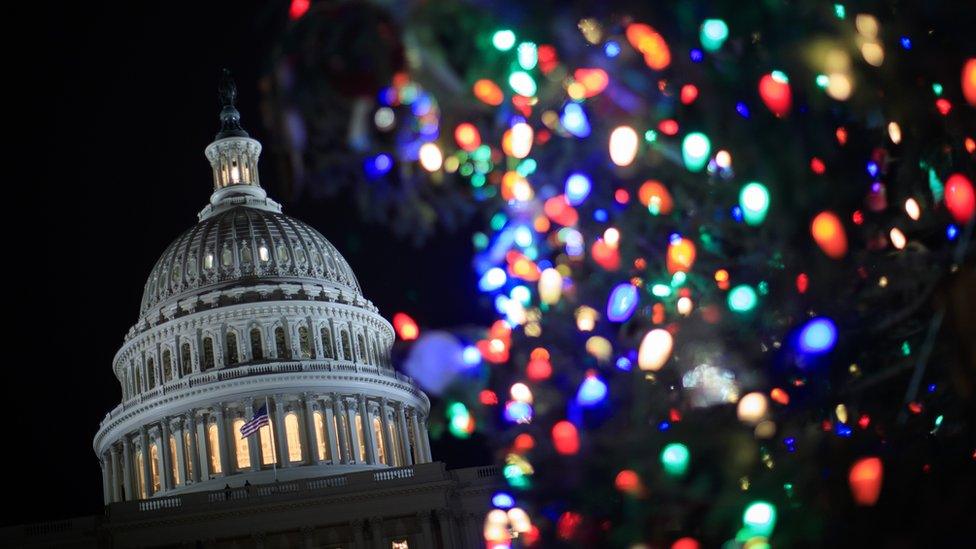 Capital Hill and a Christmas tree in the USA