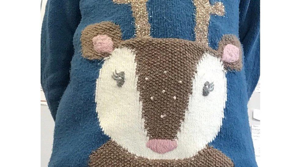 Close up of jumper.
