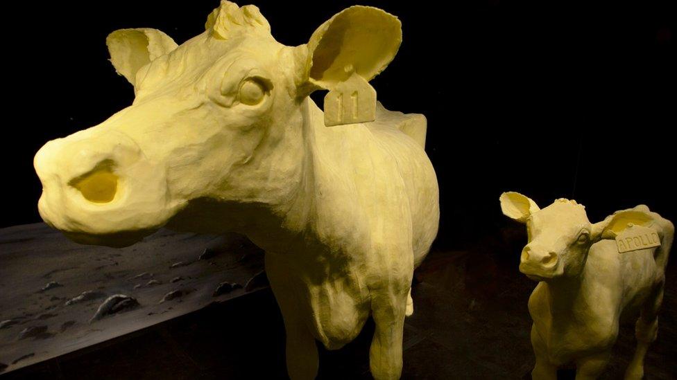 Cows-in-butter-form.