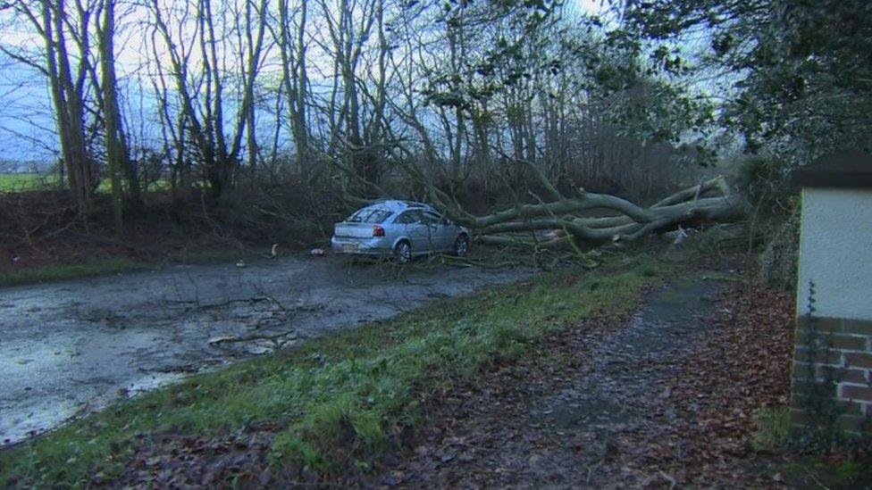 The worst affected areas are counties Antrim, Tyrone, and Londonderry - this car was crushed by a tree on the Mullagh Road in Maghera