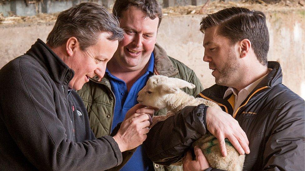 David Cameron and Stephen Crabb, holding a lamb