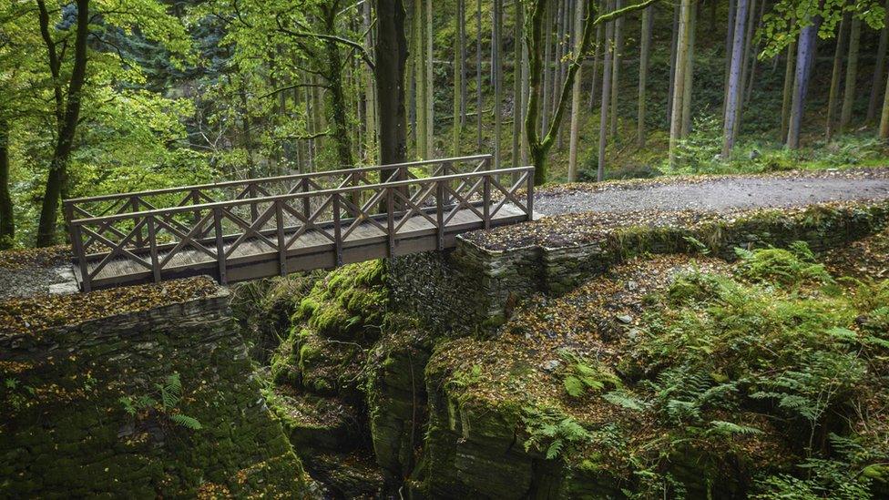 The newly-restored bridge at the Hafod Estate