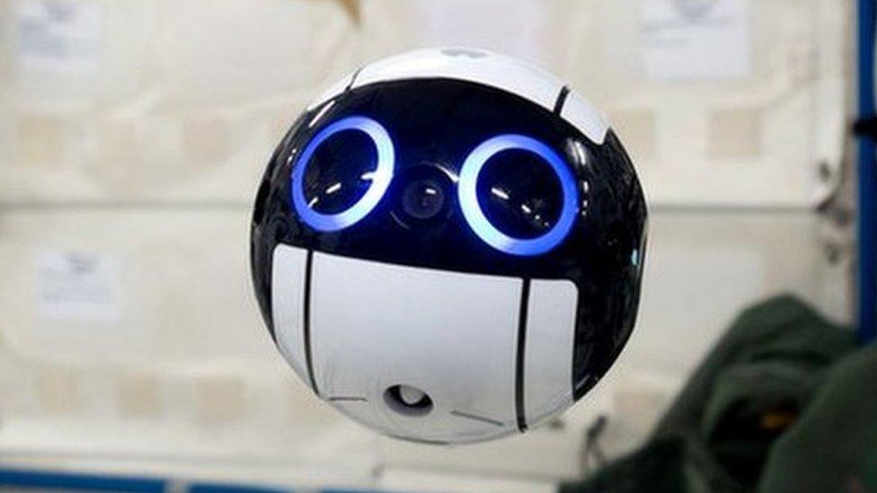 Japan's Internal Ball Camera