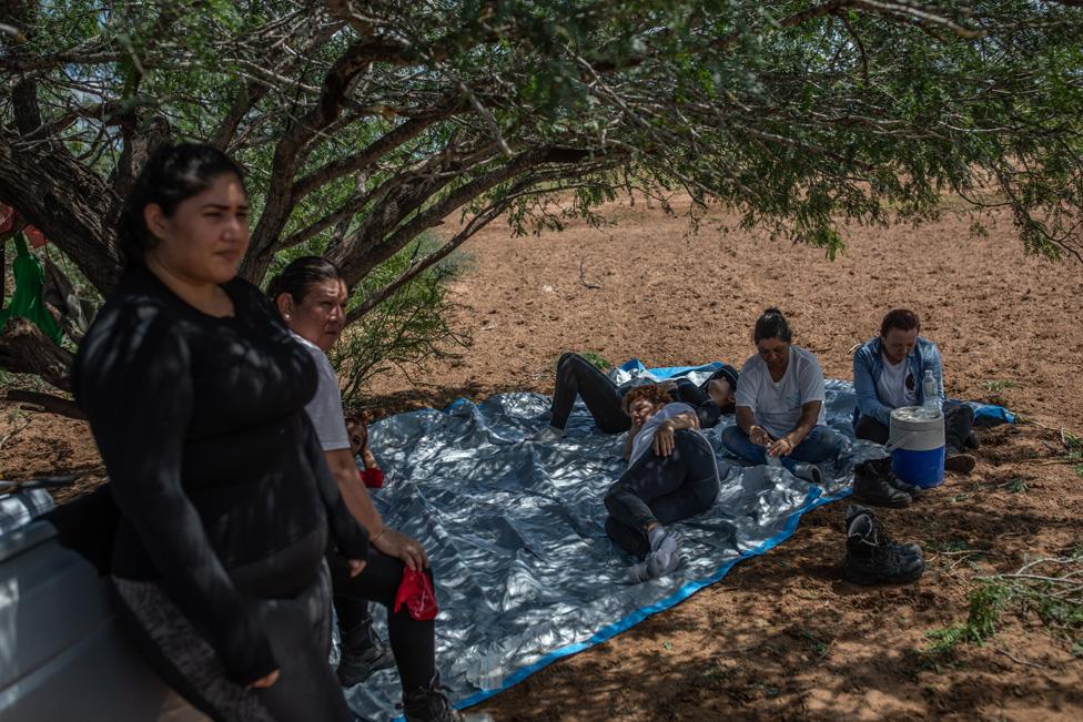 Searchers rest in the shadow of a tree