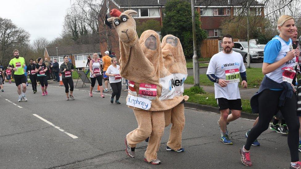 Man in camel costume