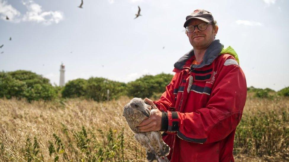 Simon Parker holding a bird on Flat Holm