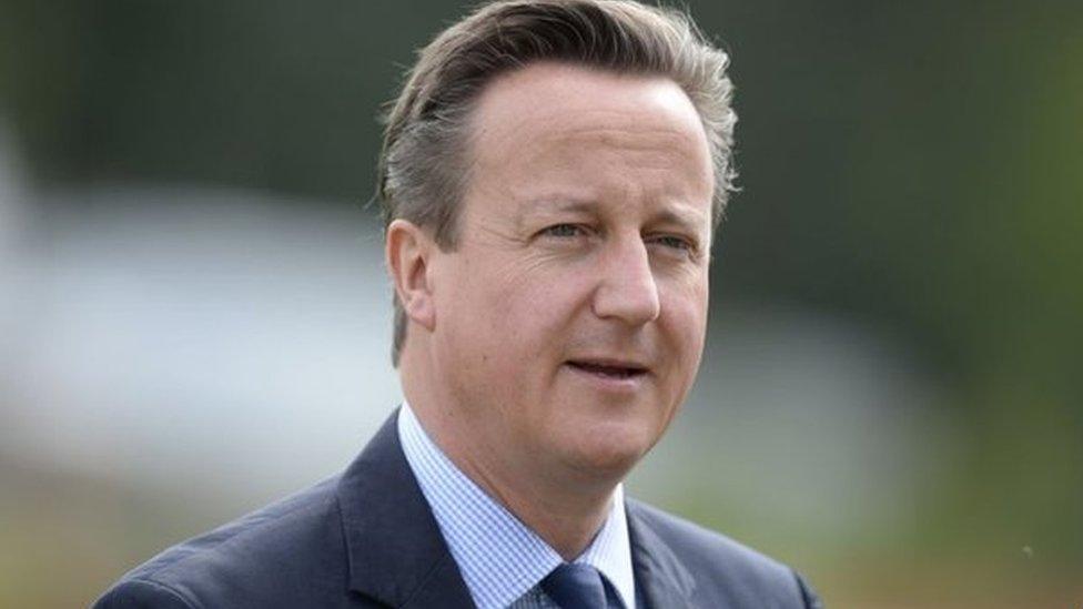 Prime Minister David Cameron