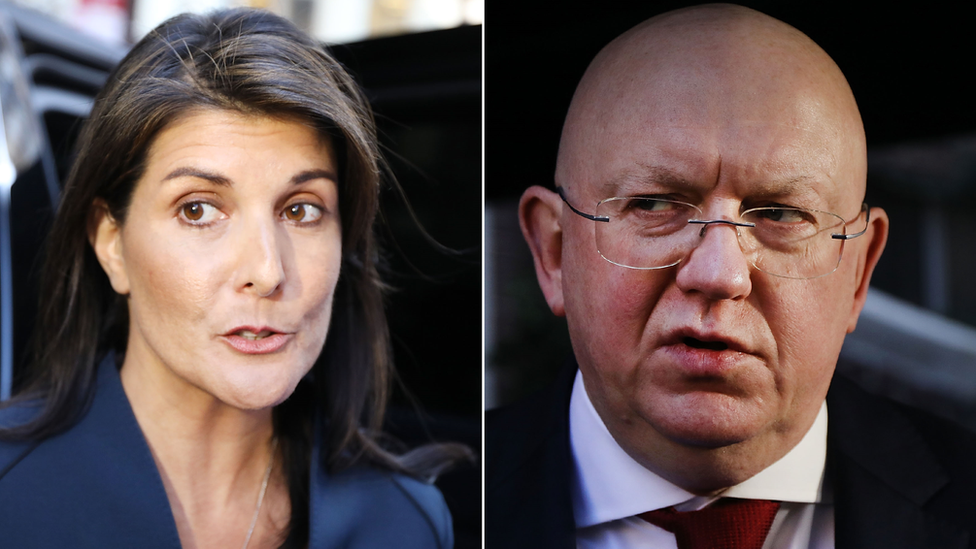 Nikki Haley and Vasily Nebenzia