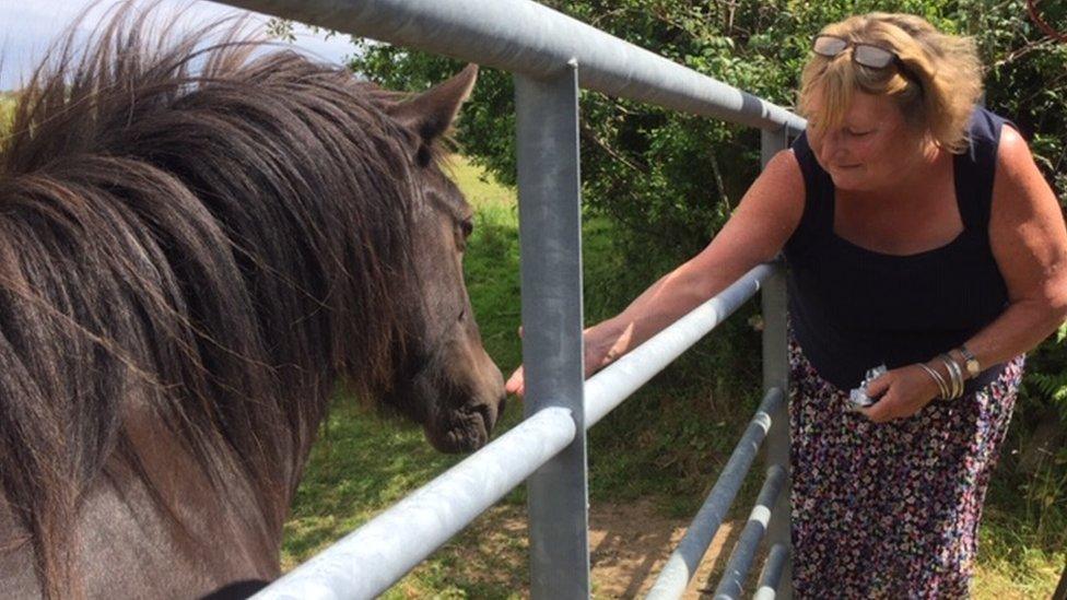 Anna Stevens feeding one of her ponies