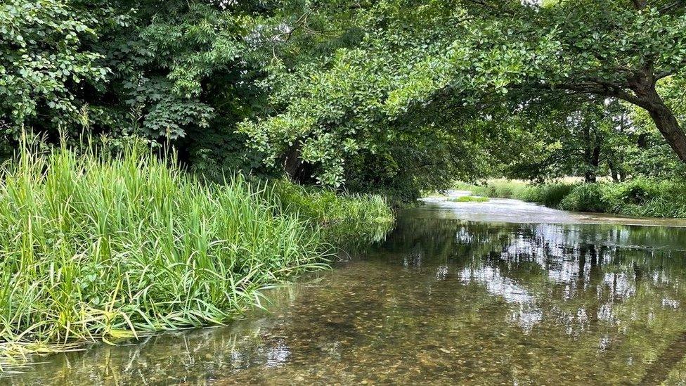 River Mimram chalk stream