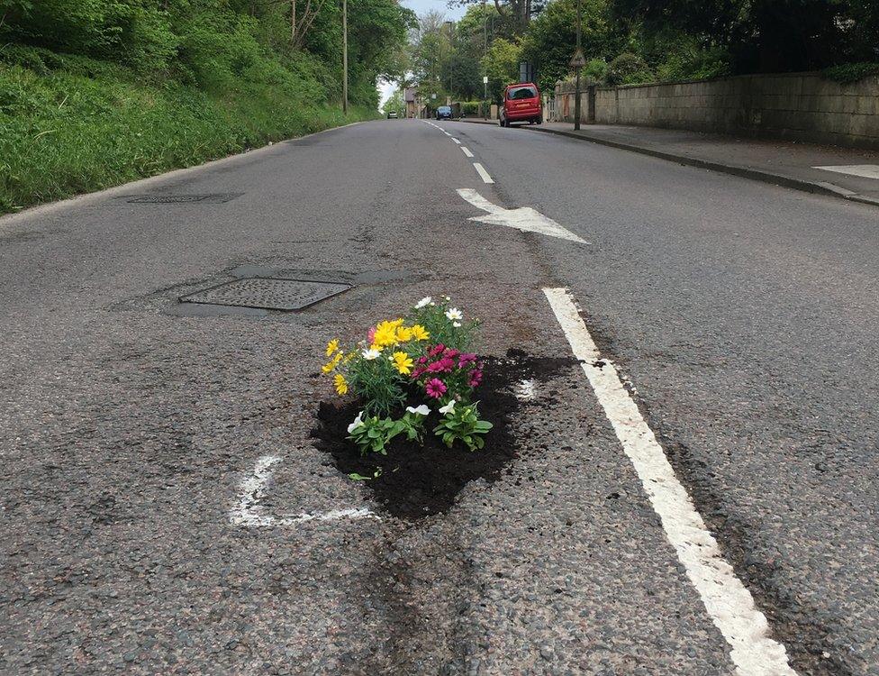 Flowers planted in potholes