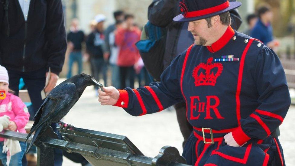 A guard feeds a raven