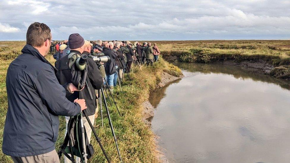 Birdwatchers