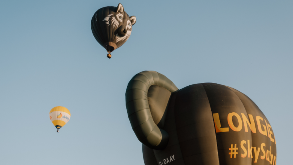 Hot air balloons in the sky