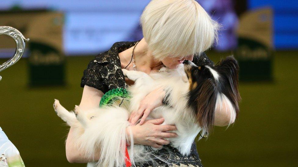 Dylan in the arms of his owner Kathleen Roosens