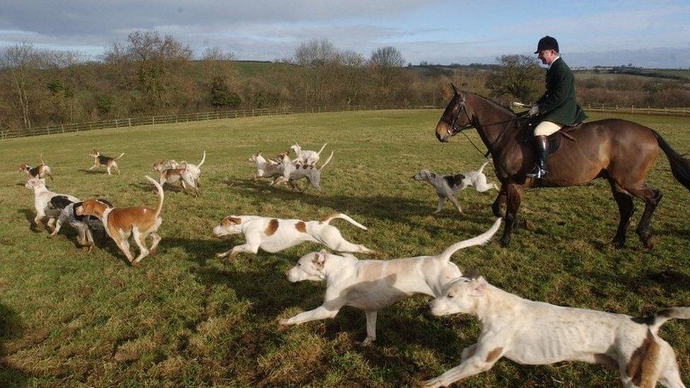 Huntsman and hounds in Oxfordshire