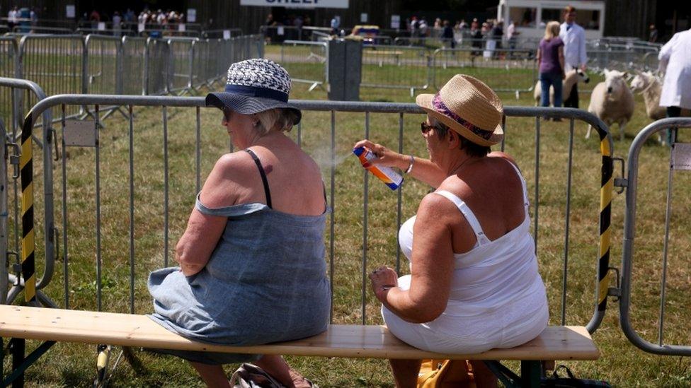 Kent County Show in Maidstone