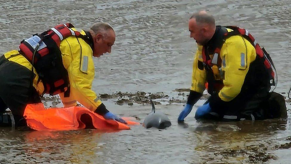 Crew members with the porpoise