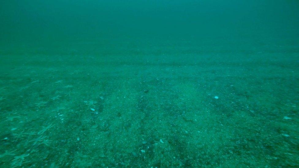 Scene of alleged scallop dredging near Gairloch