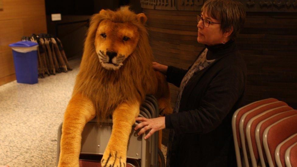 A stuffed lion stands in for the national animal of England