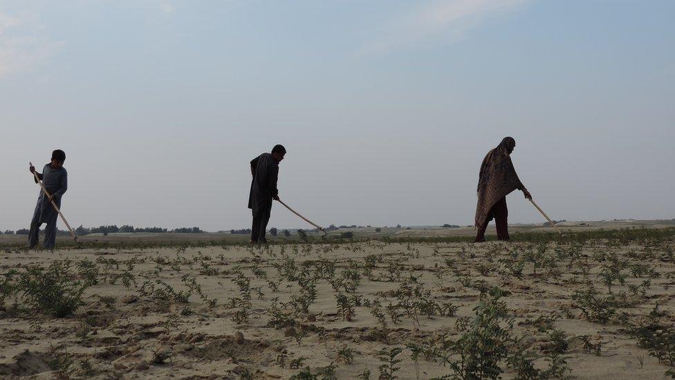 Abid Hussain, his wife and son, residents of Darbola village in Thal desert