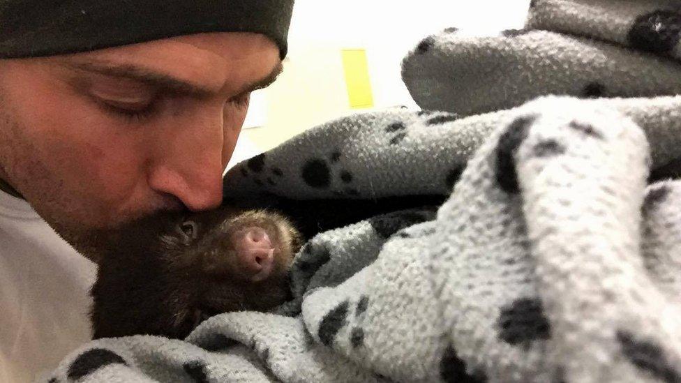 Corey kisses the bear cub as it is wrapped in a blanket