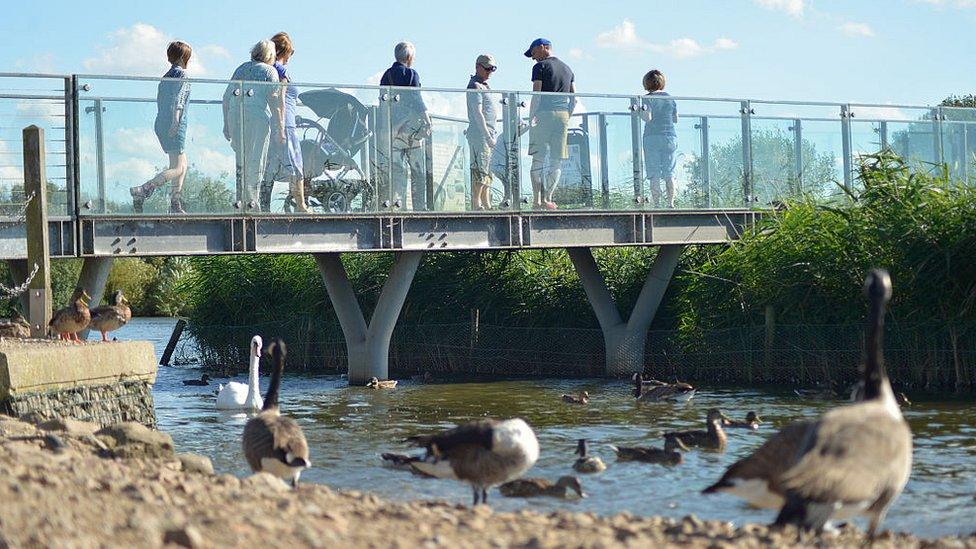 Attenborough Nature Reserve