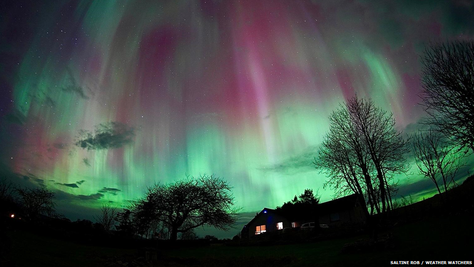 Aurora with greens and purples vertically into the night sky